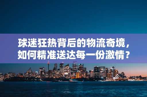 球迷狂热背后的物流奇境，如何精准送达每一份激情？