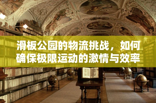 滑板公园的物流挑战，如何确保极限运动的激情与效率并存？
