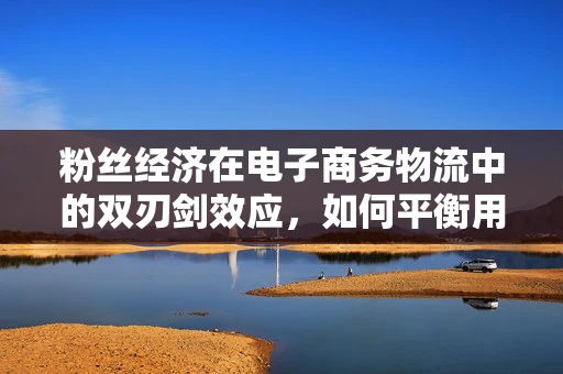 粉丝经济在电子商务物流中的双刃剑效应，如何平衡用户体验与物流效率？