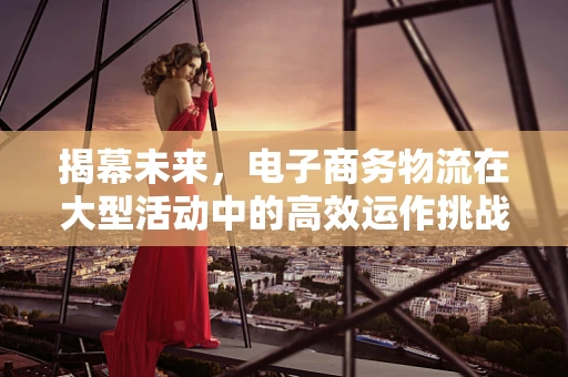 揭幕未来，电子商务物流在大型活动中的高效运作挑战