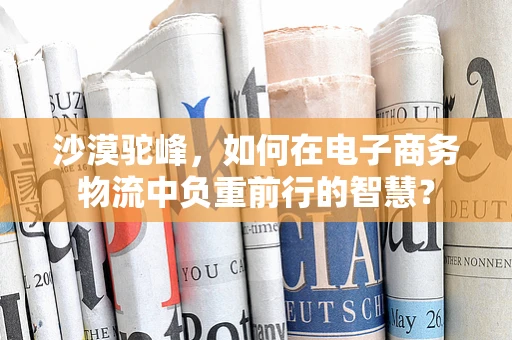 沙漠驼峰，如何在电子商务物流中负重前行的智慧？