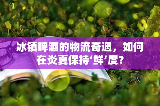 冰镇啤酒的物流奇遇，如何在炎夏保持‘鲜’度？