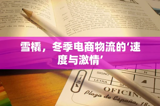 雪橇，冬季电商物流的‘速度与激情’