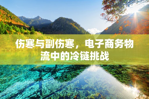 伤寒与副伤寒，电子商务物流中的冷链挑战