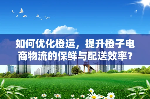 如何优化橙运，提升橙子电商物流的保鲜与配送效率？