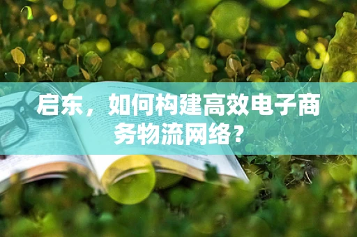启东，如何构建高效电子商务物流网络？