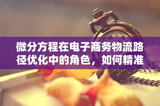 微分方程在电子商务物流路径优化中的角色，如何精准预测配送时间？