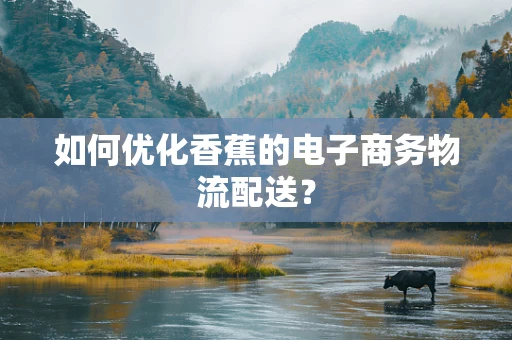如何优化香蕉的电子商务物流配送？