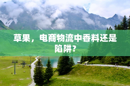 草果，电商物流中香料还是陷阱？