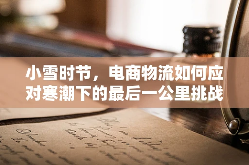 小雪时节，电商物流如何应对寒潮下的最后一公里挑战？