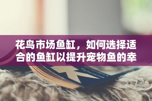 花鸟市场鱼缸，如何选择适合的鱼缸以提升宠物鱼的幸福生活？