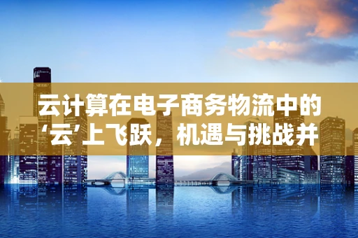 云计算在电子商务物流中的‘云’上飞跃，机遇与挑战并存？