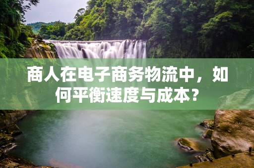 商人在电子商务物流中，如何平衡速度与成本？