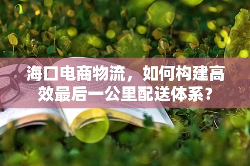 海口电商物流，如何构建高效最后一公里配送体系？