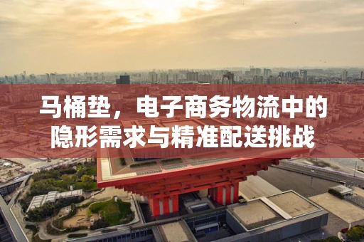 马桶垫，电子商务物流中的隐形需求与精准配送挑战