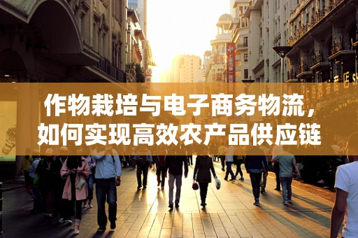 作物栽培与电子商务物流，如何实现高效农产品供应链？