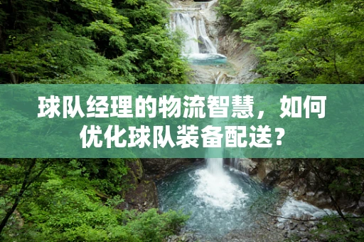 球队经理的物流智慧，如何优化球队装备配送？