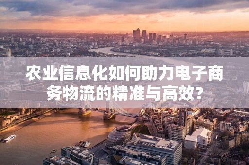 农业信息化如何助力电子商务物流的精准与高效？