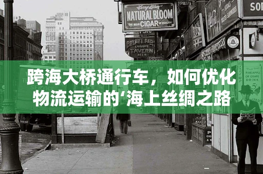 跨海大桥通行车，如何优化物流运输的‘海上丝绸之路’？