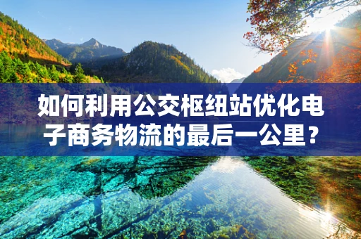 如何利用公交枢纽站优化电子商务物流的最后一公里？