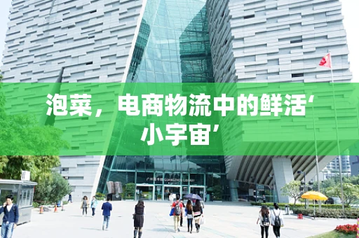 泡菜，电商物流中的鲜活‘小宇宙’