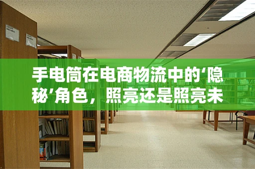 手电筒在电商物流中的‘隐秘’角色，照亮还是照亮未来？
