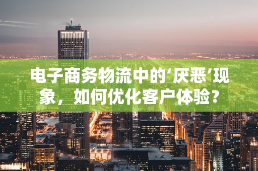 电子商务物流中的‘厌恶’现象，如何优化客户体验？