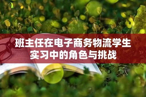 班主任在电子商务物流学生实习中的角色与挑战