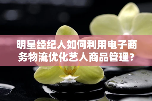 明星经纪人如何利用电子商务物流优化艺人商品管理？