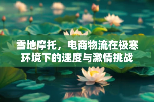 雪地摩托，电商物流在极寒环境下的速度与激情挑战