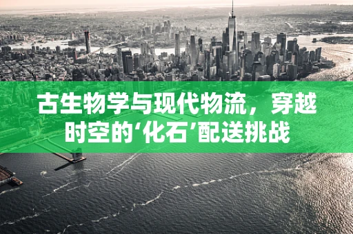 古生物学与现代物流，穿越时空的‘化石’配送挑战