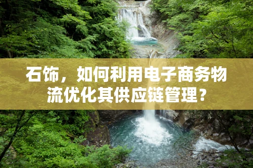 石饰，如何利用电子商务物流优化其供应链管理？