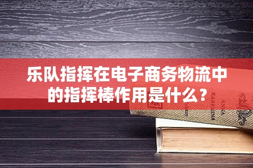 乐队指挥在电子商务物流中的指挥棒作用是什么？