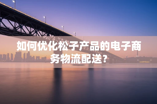 如何优化松子产品的电子商务物流配送？