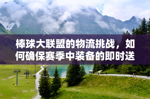 棒球大联盟的物流挑战，如何确保赛季中装备的即时送达？