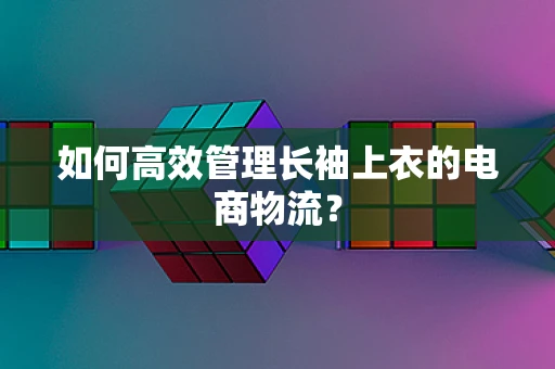 如何高效管理长袖上衣的电商物流？