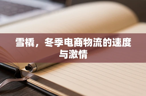 雪橇，冬季电商物流的速度与激情