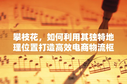 攀枝花，如何利用其独特地理位置打造高效电商物流枢纽？