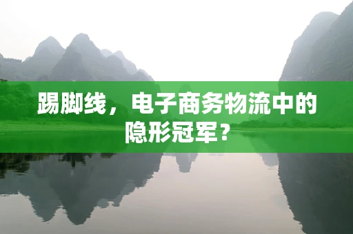 踢脚线，电子商务物流中的隐形冠军？