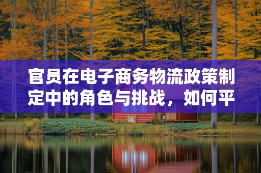 官员在电子商务物流政策制定中的角色与挑战，如何平衡效率与监管？