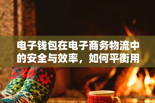 电子钱包在电子商务物流中的安全与效率，如何平衡用户体验与数据保护？