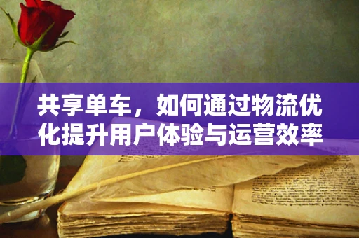 共享单车，如何通过物流优化提升用户体验与运营效率？