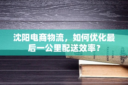 沈阳电商物流，如何优化最后一公里配送效率？