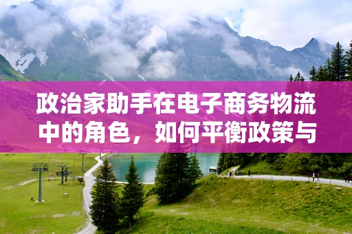 政治家助手在电子商务物流中的角色，如何平衡政策与效率？