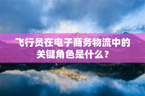 飞行员在电子商务物流中的关键角色是什么？