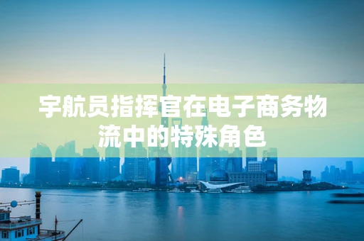 宇航员指挥官在电子商务物流中的特殊角色