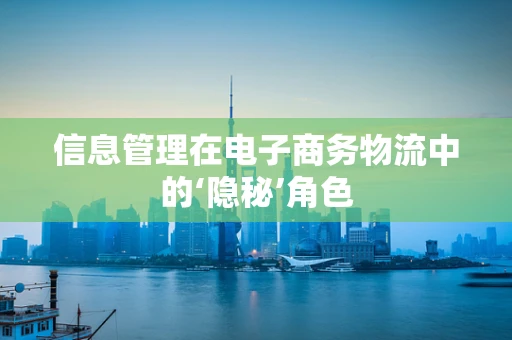 信息管理在电子商务物流中的‘隐秘’角色