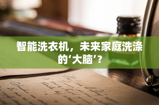 智能洗衣机，未来家庭洗涤的‘大脑’？