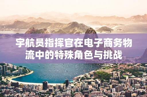 宇航员指挥官在电子商务物流中的特殊角色与挑战