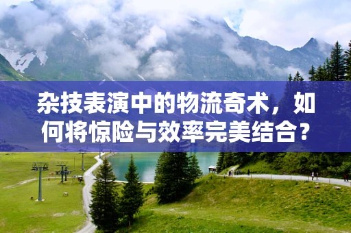 杂技表演中的物流奇术，如何将惊险与效率完美结合？